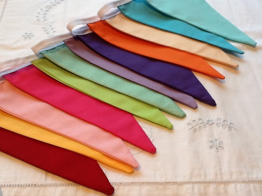 Rainbow Bunting - 12 flags 8.5 ft long