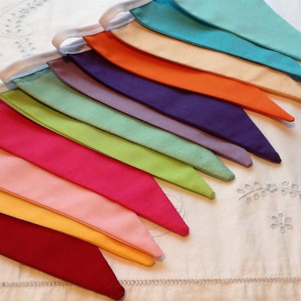 Rainbow Bunting - 12 flags 8.5 ft long
