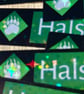 Halsin Approves Disapproves Sticker Set - Holographic Vinyl RPG Decals - Image 3