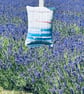 Handwoven Lavender Bag - Image 6