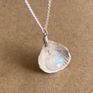 Silver shell necklace with Rainbow Moonstone briolette