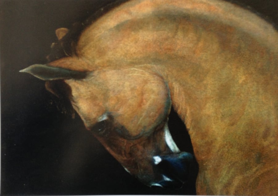 Horse Limited Edition Print of a Pastel drawing