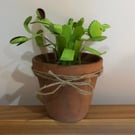 Venus flytrap scrap sculpture 