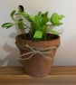 Venus flytrap scrap sculpture 