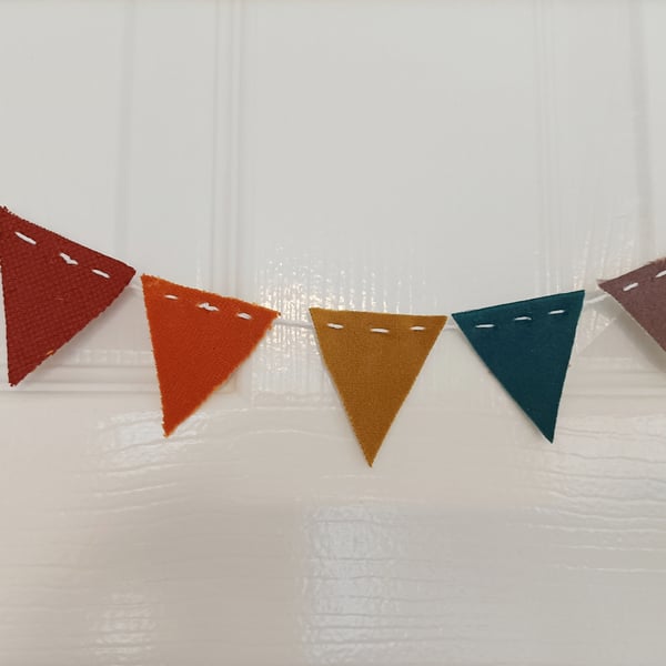 Rainbow Bunting