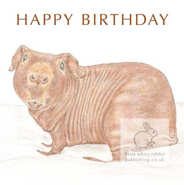 Dixon the Skinny Pig - Birthday Card