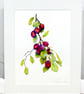 Plum Botanical Fruit Original Watercolour Painting - Image 3