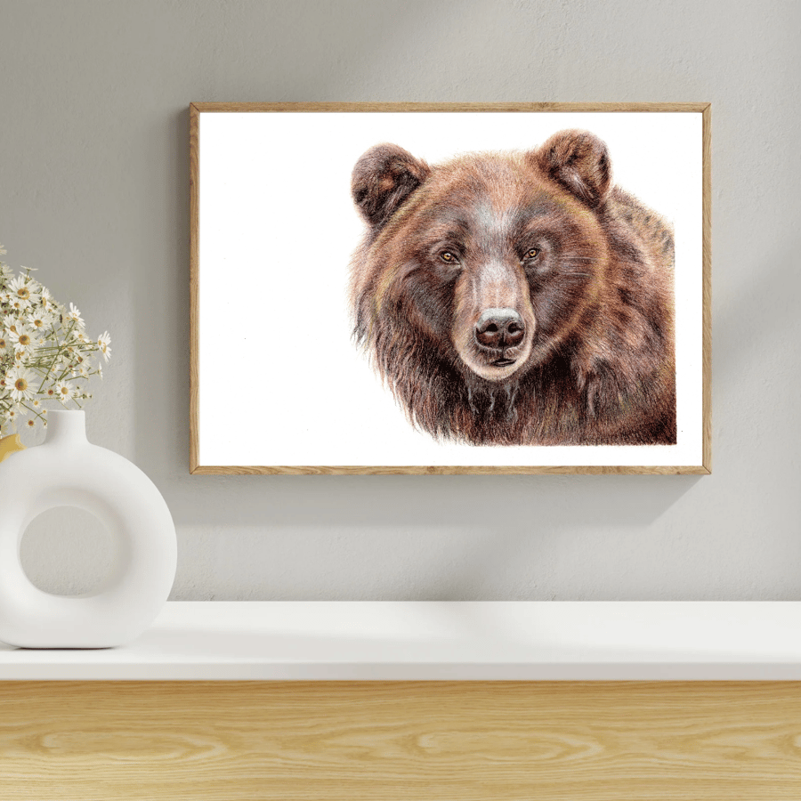 UNFRAMED American Bear Drawing