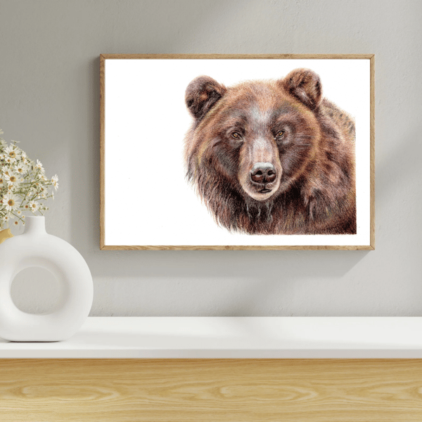 American Bear Drawing Limited Edition Giclee Fine  Art Printint A4