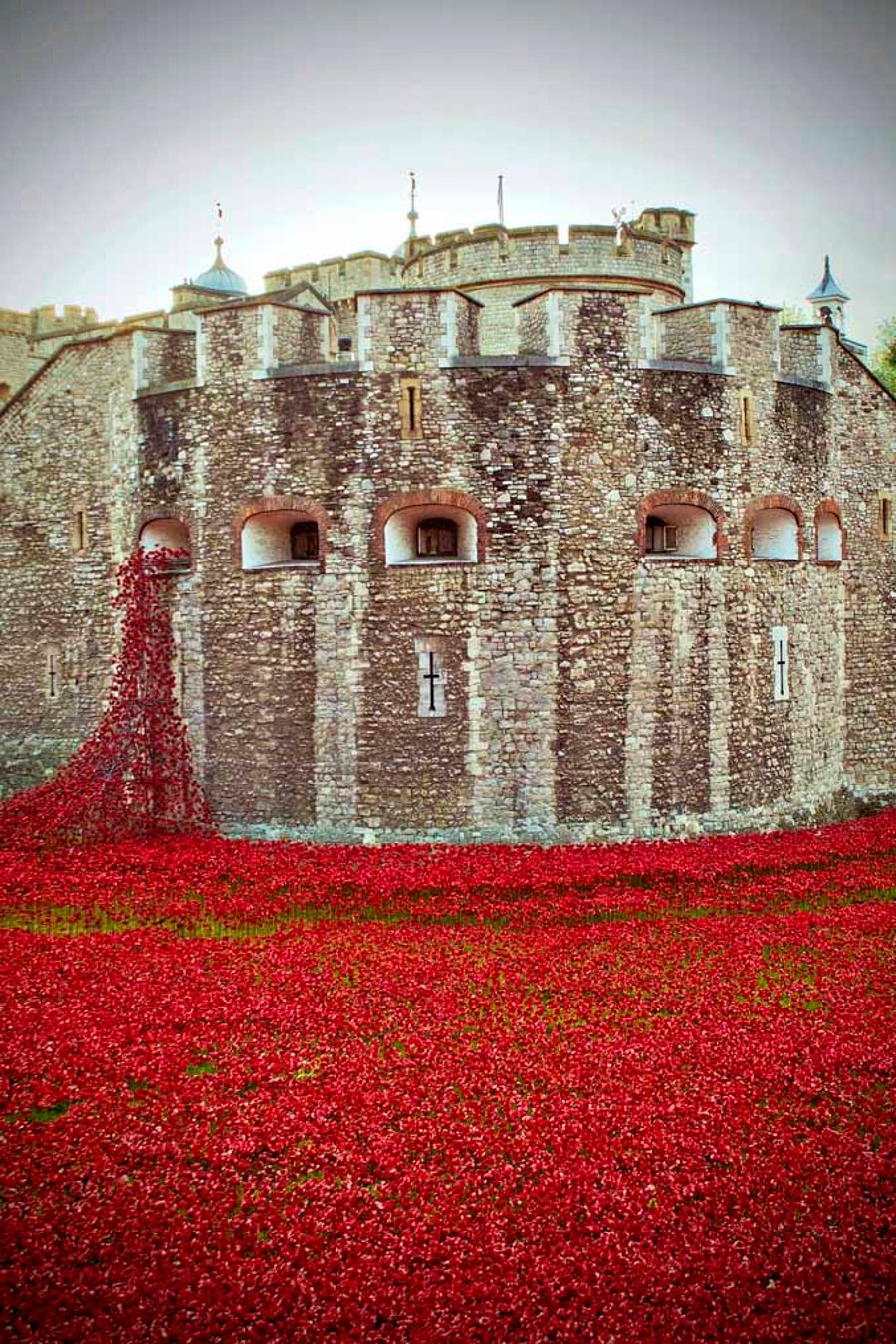 Tower Of London Red Poppy Memorial England Photograph Print