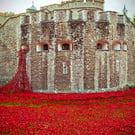 Tower Of London Red Poppy Memorial England Photograph Print