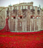 Tower Of London Red Poppy Memorial England Photograph Print - Image 1
