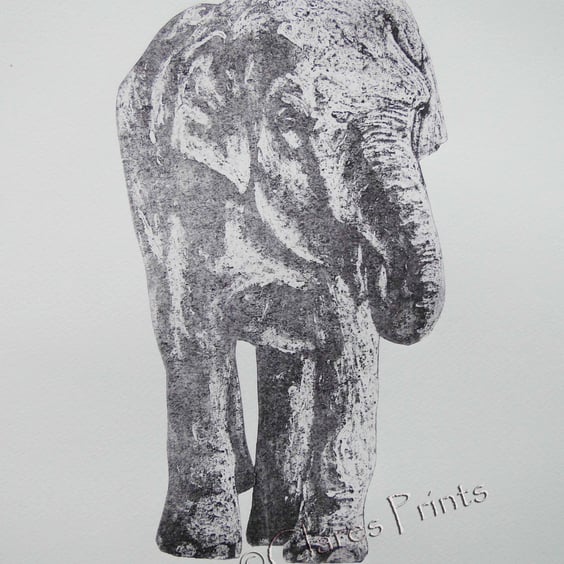 Black Elephant Limited Edition Collagraph Print