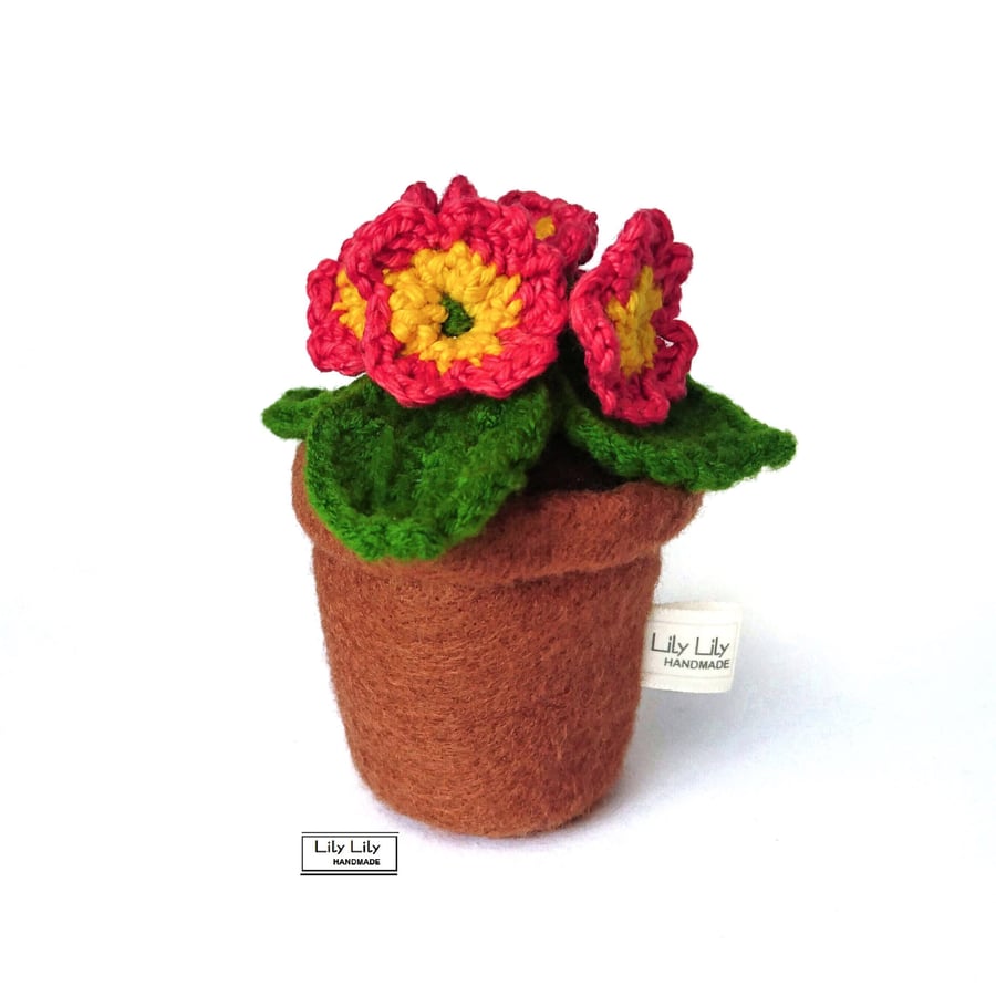 Everlasting Red Primrose Flower pot decoration by Lily Lily Handmade 