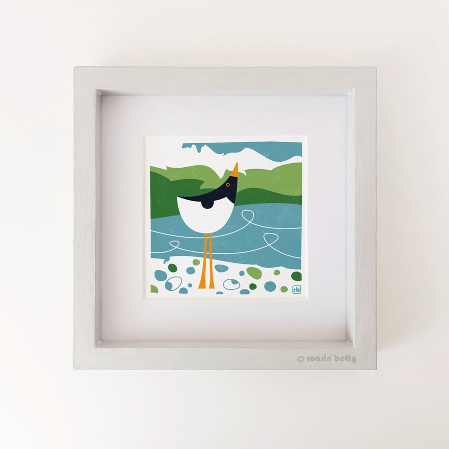 Oystercatcher And Pebbles, bird illustration, Giclee print
