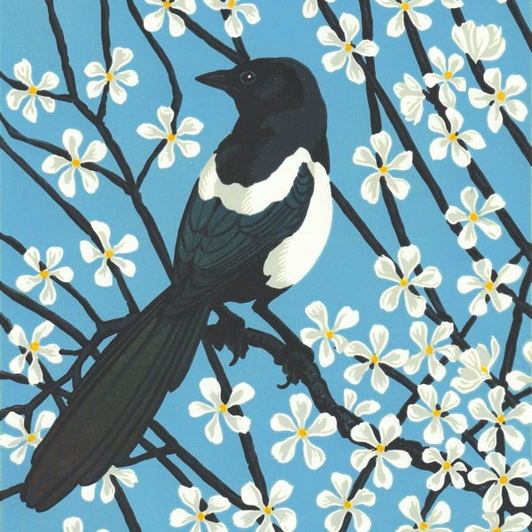 Magpie 