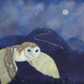 Avalon Dreams Gallery