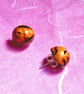  Ear Studs,Handmade Polymer Clay Earrings - Golden Tiger ! - Image 1