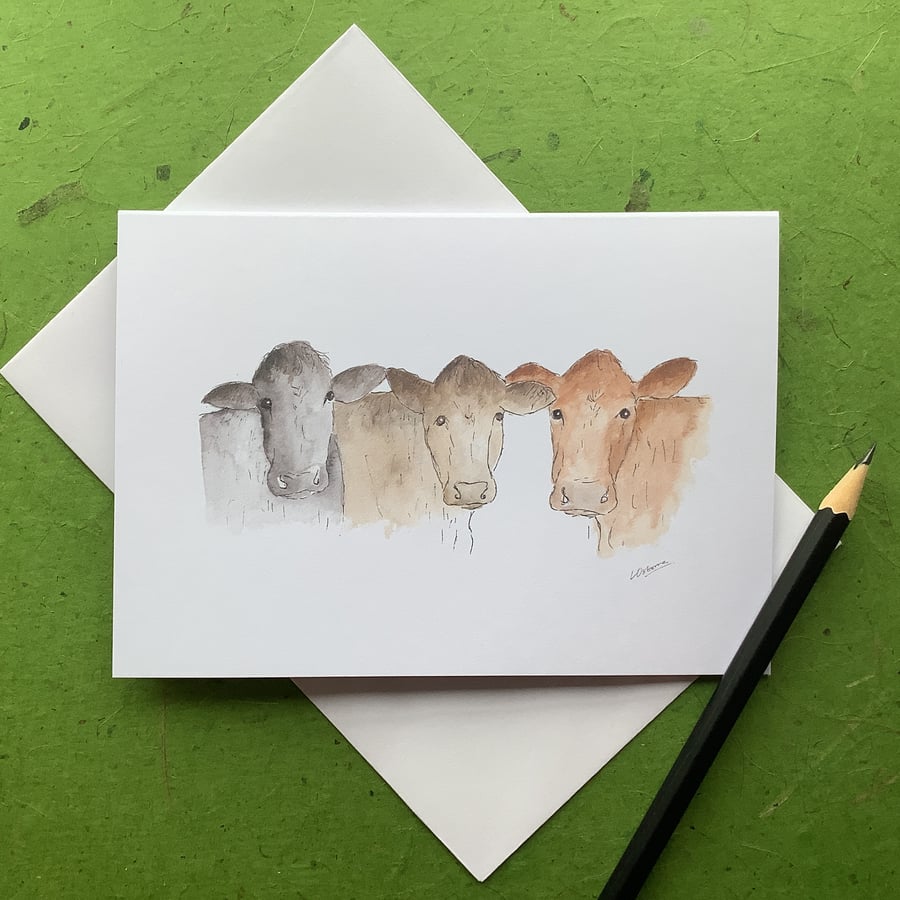 Cows - greetings card. Blank inside for own message.