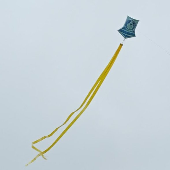 Japanese Suruga - Handmade Kite