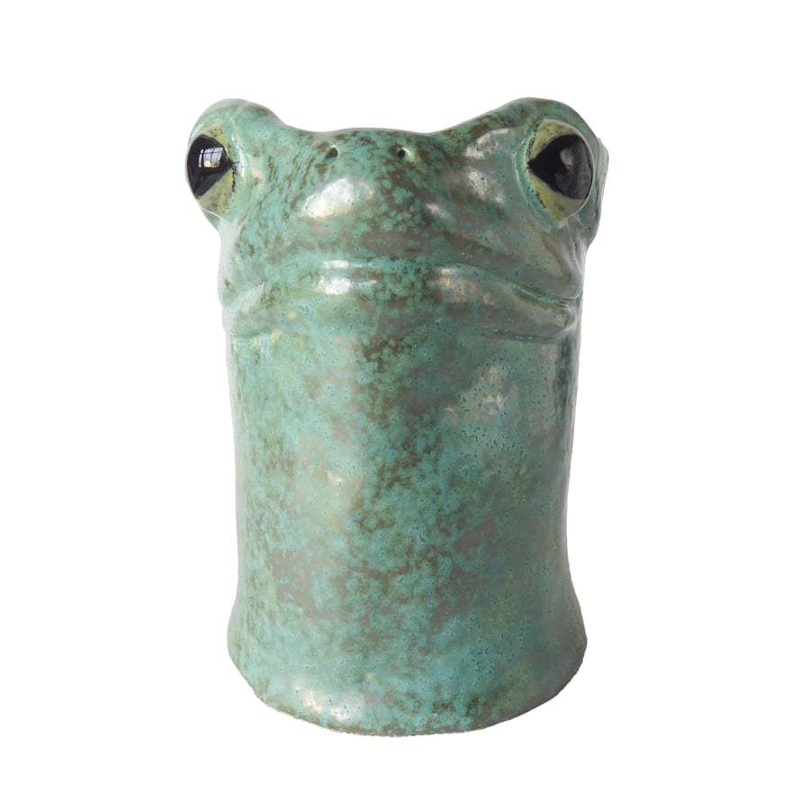 Frog Ceramic Pot - Handmade