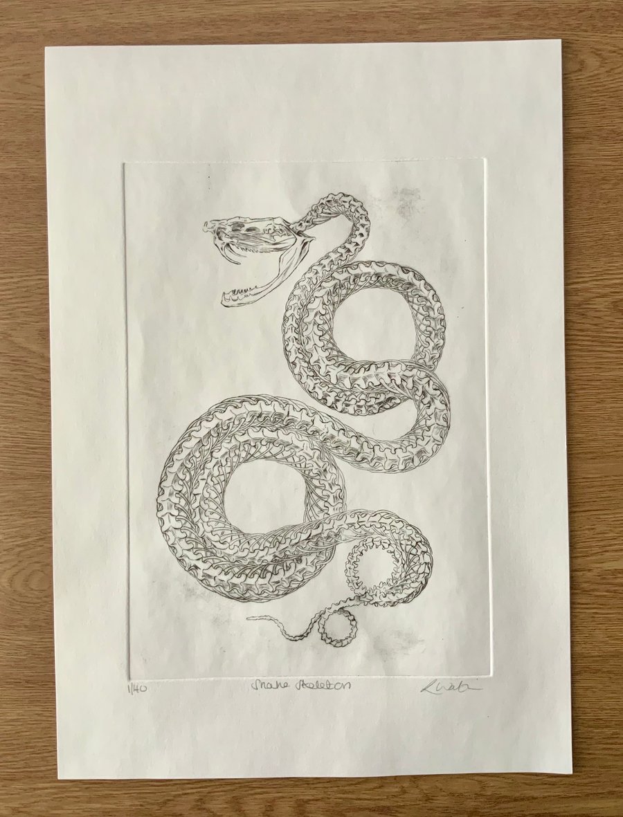 Drypoint Etching Print of a Snake Skeleton, Original Wildlife Art