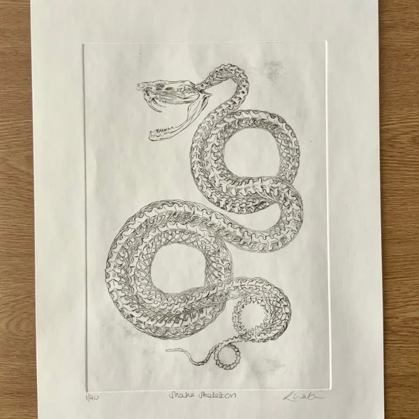 Drypoint Etching Print of a Snake Skeleton, Original Wildlife Art