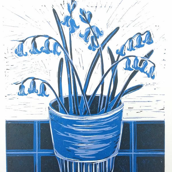 Bluebells in blue pot