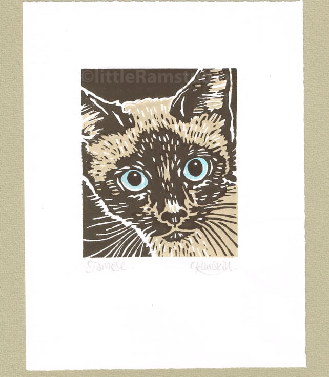 Siamese Cat with blue eyes - Folksy