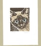 Siamese Cat with blue eyes - Image 2