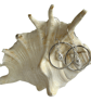 Silver Hoop Earrings With Seashell Charm - Image 2