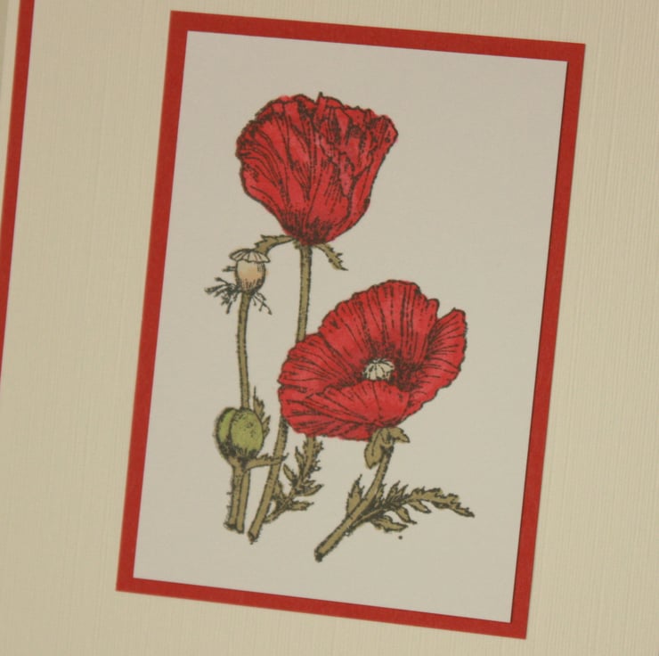 Poppy Birthday card - Folksy