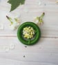 Dorset Button Posy Brooch