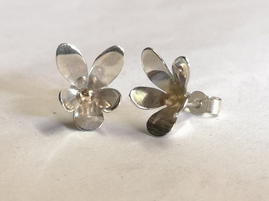 Viola studs in Silver with a gold bead