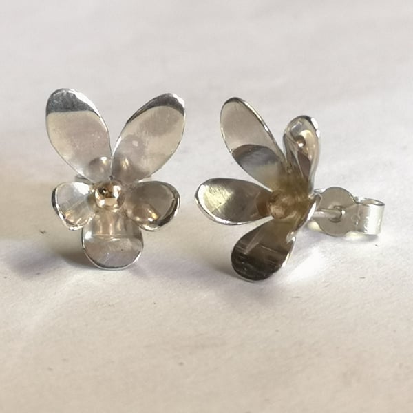 Viola studs in Silver with a gold bead