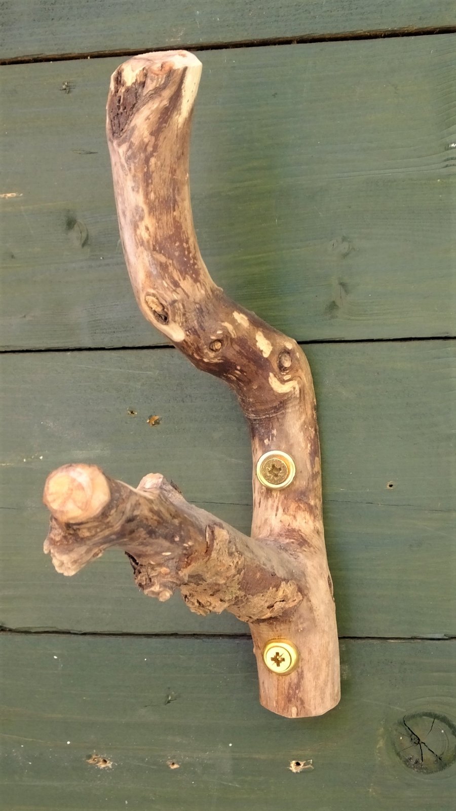 twin hook coat rack or hanger using Cornish driftwood for hat coat scarf keys