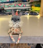 Spun Cotton Sitting Rabbit Cream - Image 2