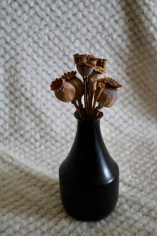 Mixed dried poppy seed heads