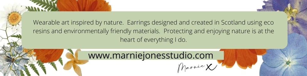 Marnie Jones Studio