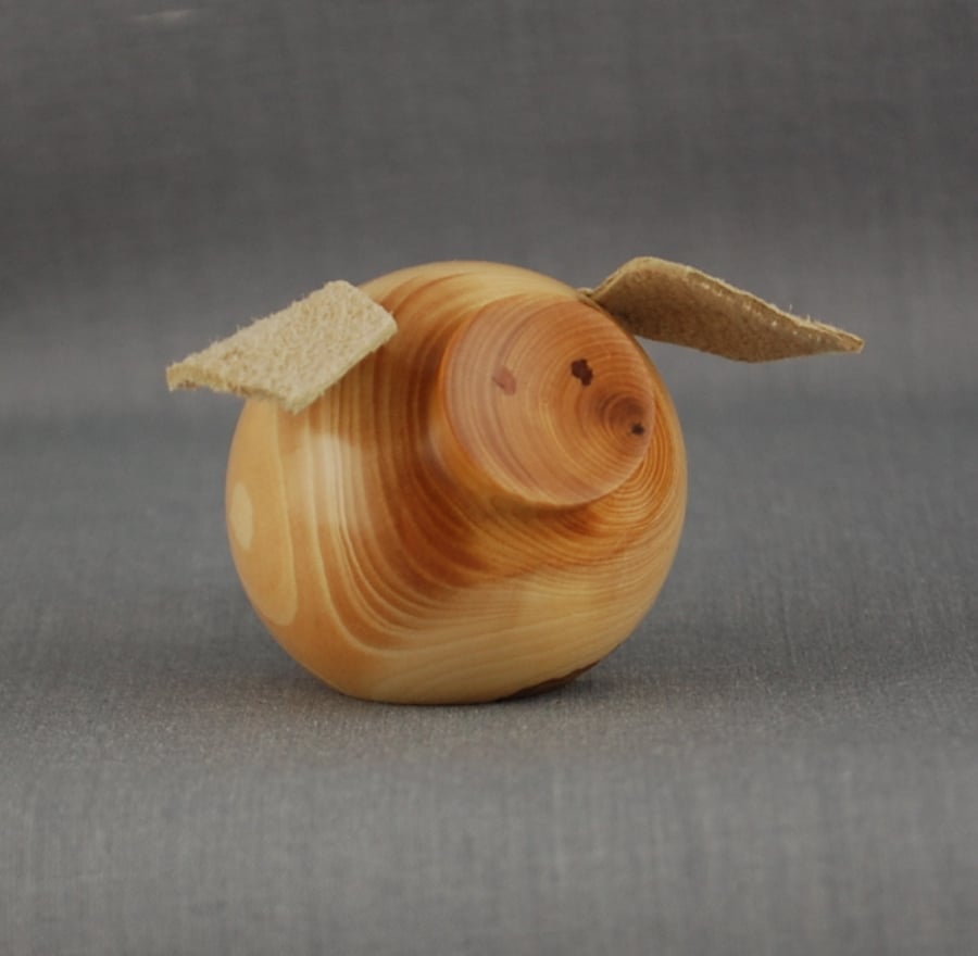 Canny Pig Needs a Home