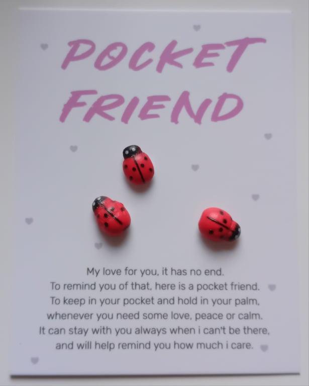 Ladybird Pocket friend 