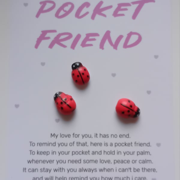 Ladybird Pocket friend 