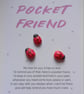Ladybird Pocket friend 