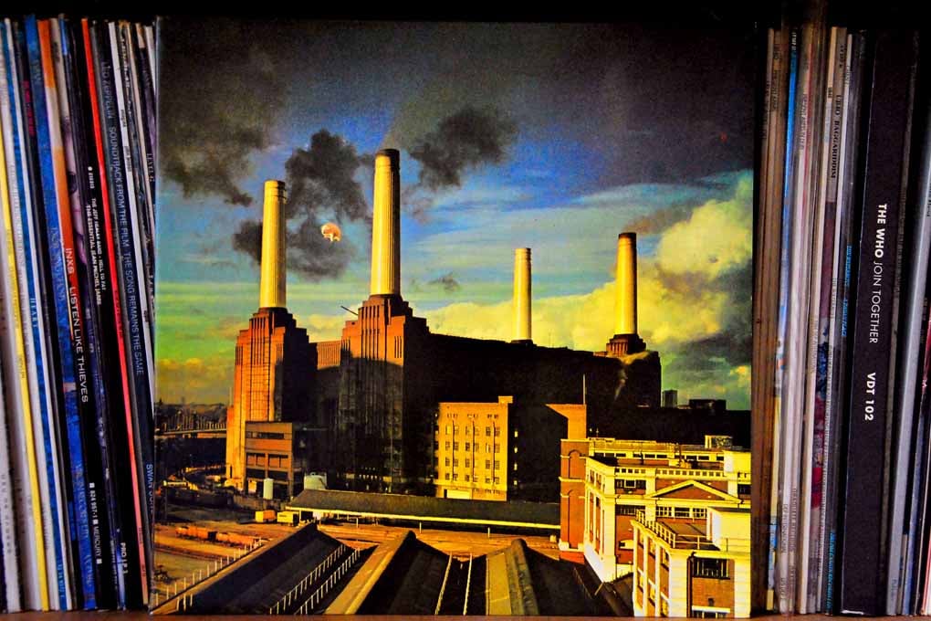 Pink Floyd Animals Album Front Cover Photograph Print