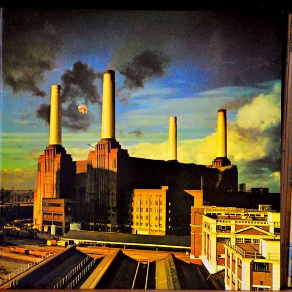Pink Floyd Animals Album Front Cover Photograph Print