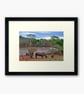 African White Rhinoceros South Africa Photograph Print - Image 5