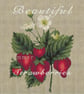 034 - Rustic Strawberries - Cross Stitch Pattern - Image 1