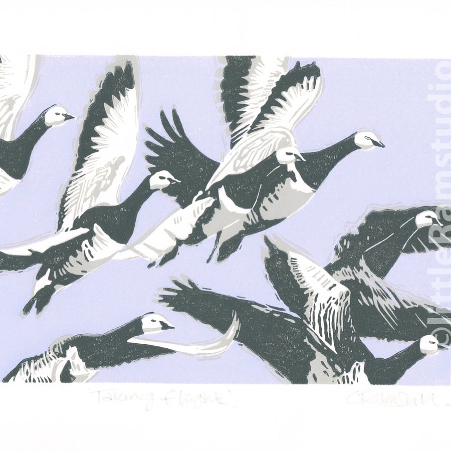Barnacle Geese. Original hand cut limited edition linocut print