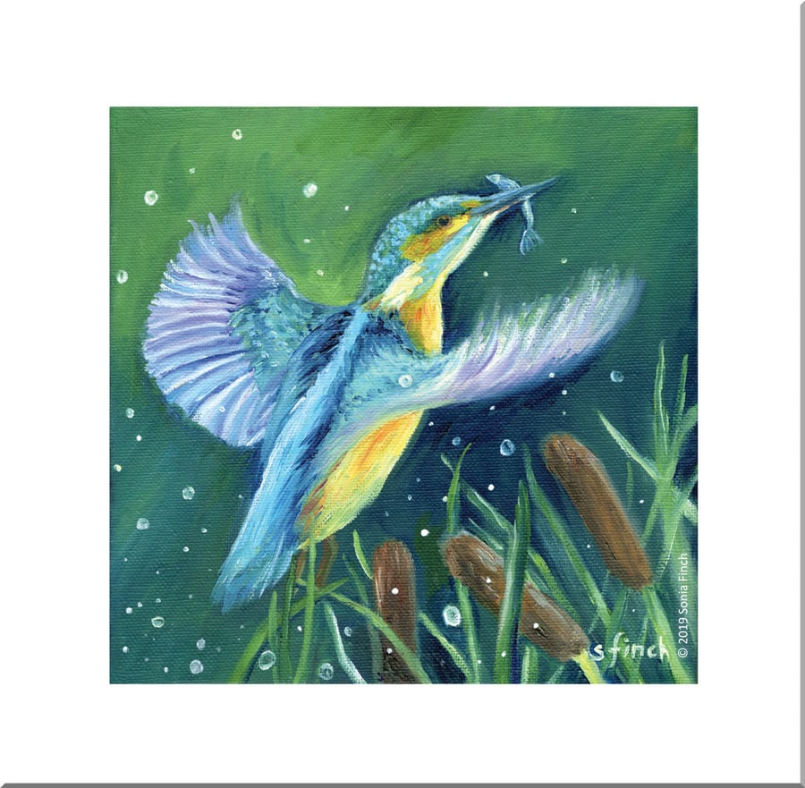 Spirit of Kingfisher - Blank Greeting Card with nature spirit totem message