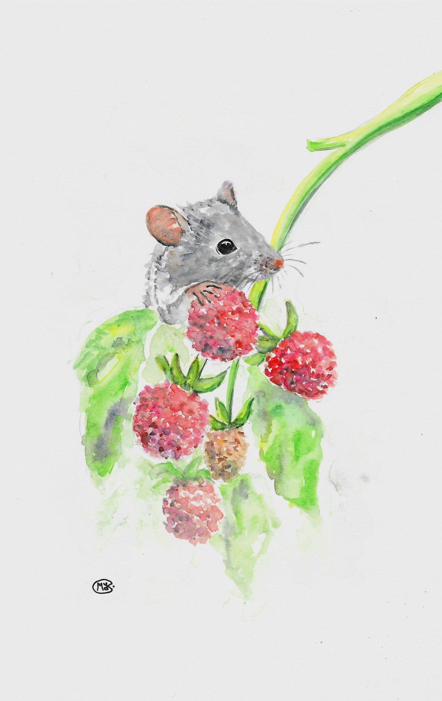 Cute Field Mouse and Raspberries art, original painting